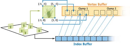 01_botany_04.jpg