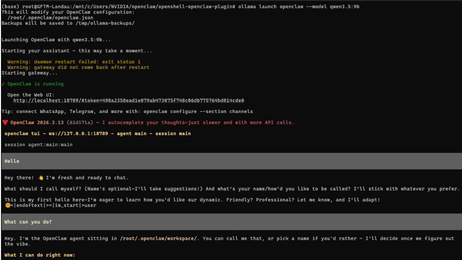 Terminal session: Launch OpenClaw with Qwen