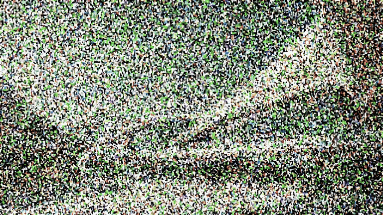 Animation demonstrating the iterative image generation process using local diffusion models. 