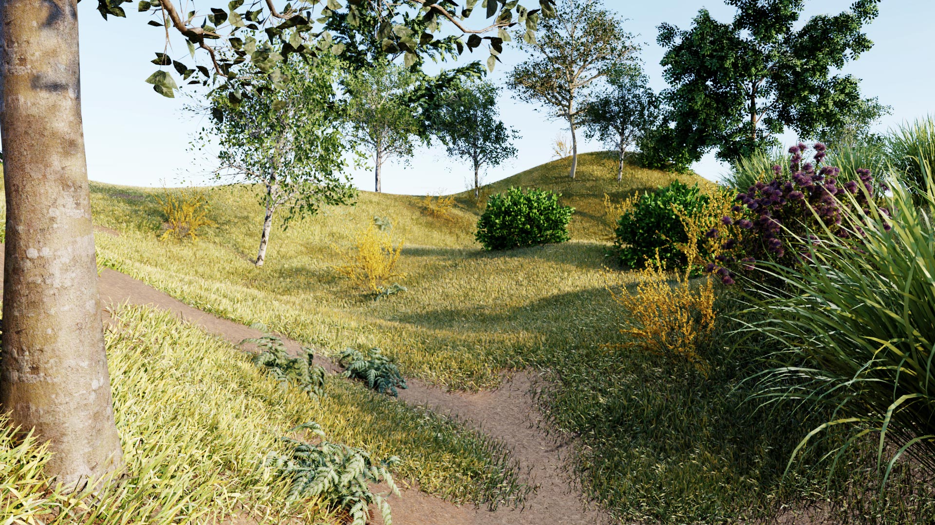 Image of a landscape featuring Vegetation 3D Model Sample Image of a landscape featuring Vegetation 3D Model Sample